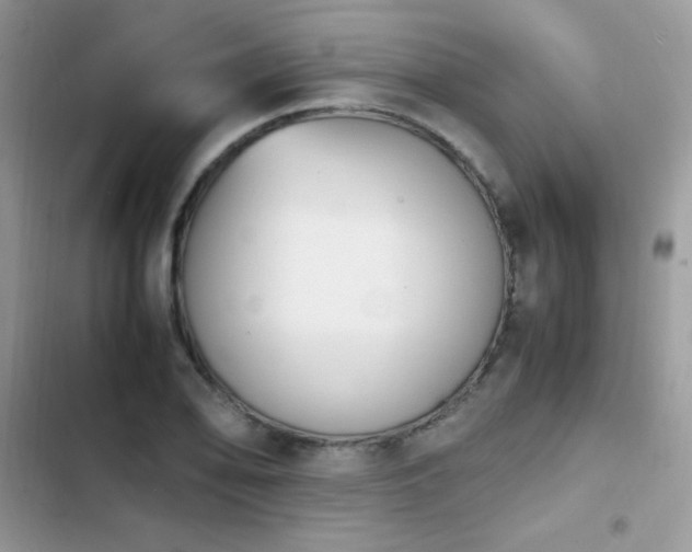 X0000103941078200809191412