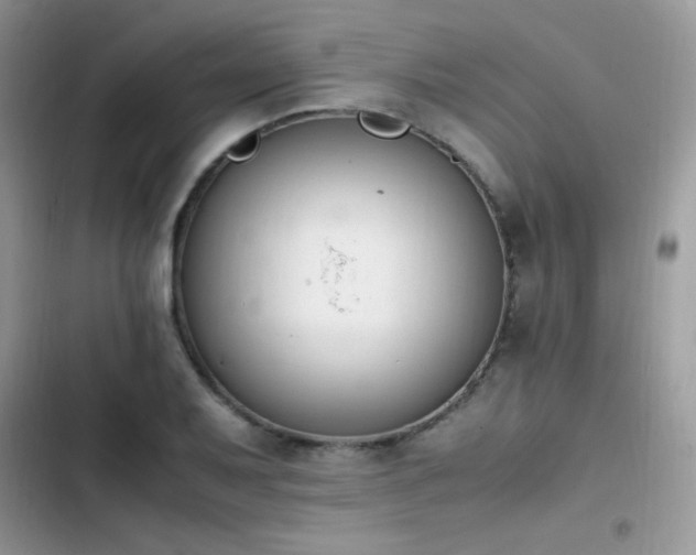 X0000103941079200809191412