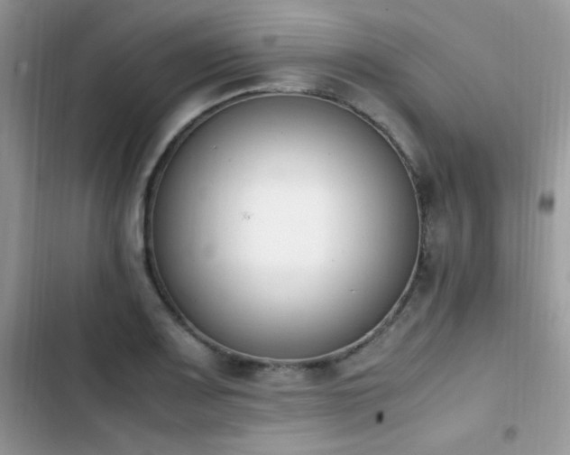 X0000103941083200809191411