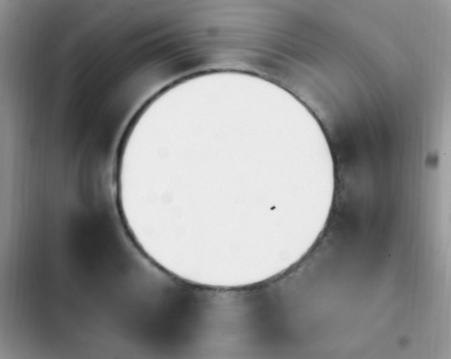 X0000103941084200809191411