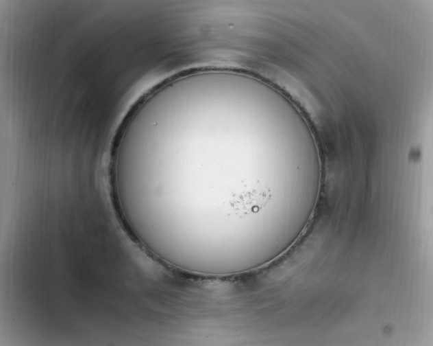 X0000103941085200809191411