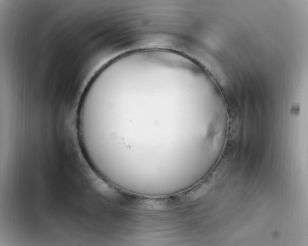 X0000103941086200809191411