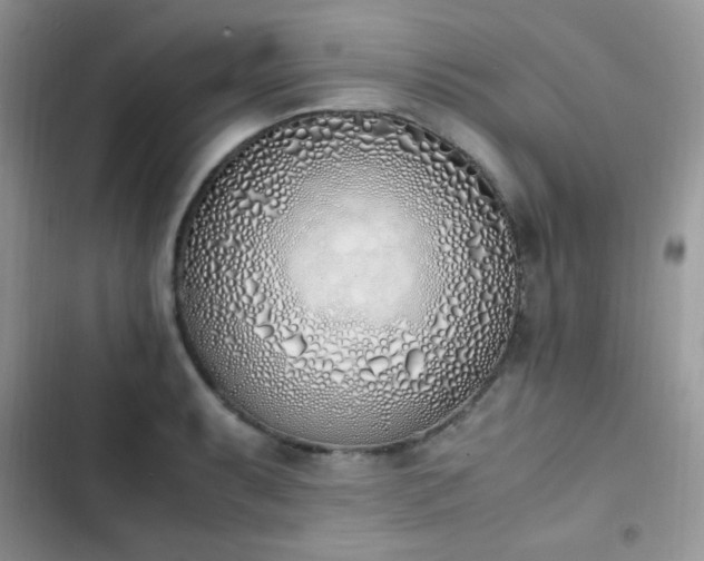X0000103941087200809191411