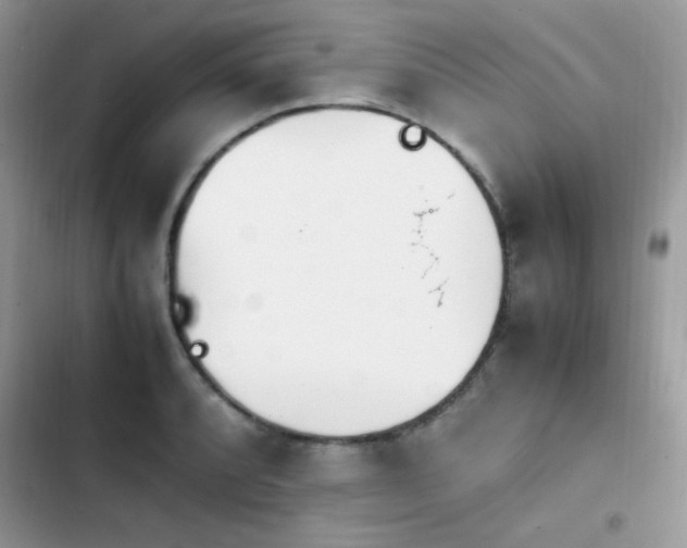 X0000103941088200809191411