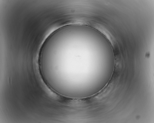 X0000103941091200809191411