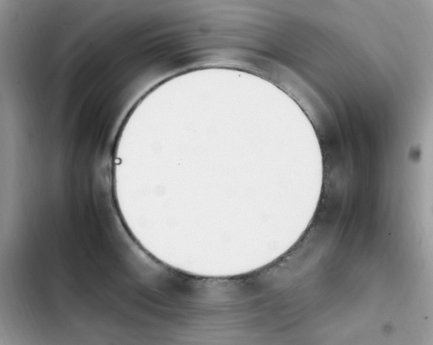X0000103941092200809191411