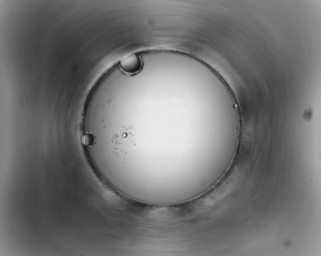 X0000103941093200809191411