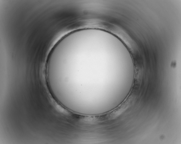 X0000103941094200809191411