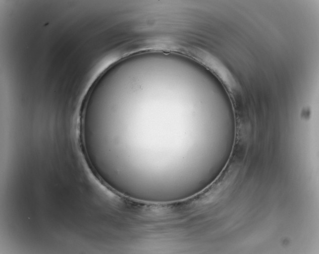 X0000103941095200809191411