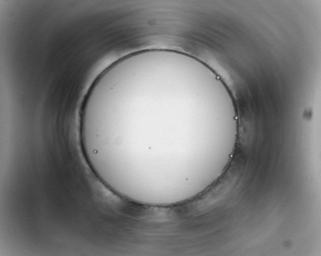 X0000103941096200809191411