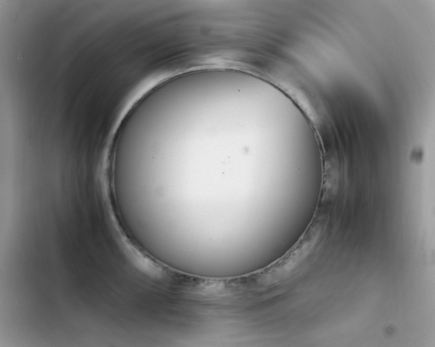 X0000103941098200809191411
