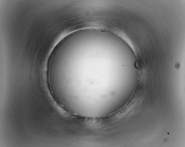X0000103941099200809191411