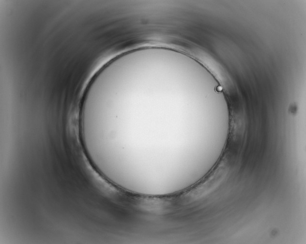 X0000103941100200809191411