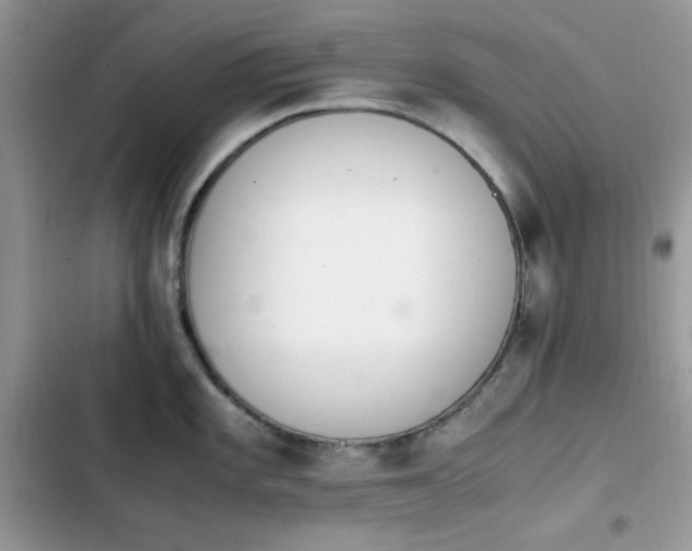 X0000103941101200809191411