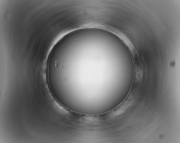 X0000103941102200809191411