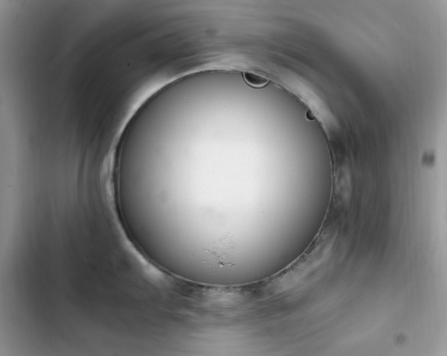 X0000103941103200809191411