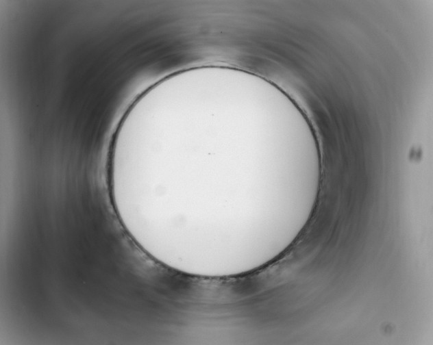 X0000103941104200809191411