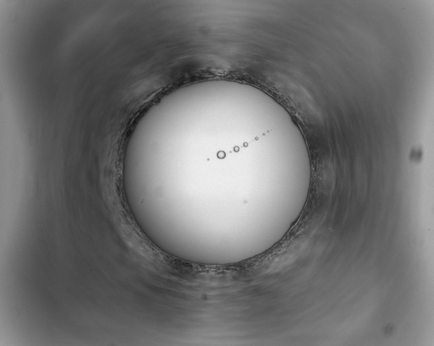 X0000103941105200809191410