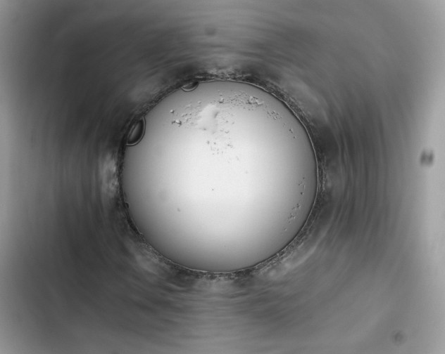 X0000103941106200809191410