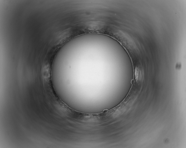X0000103941107200809191410