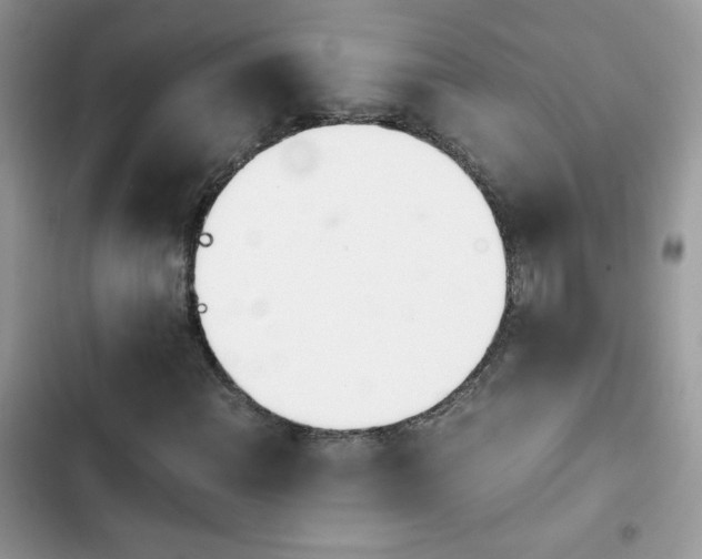 X0000103941108200809191410