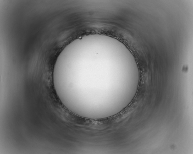 X0000103941109200809191410