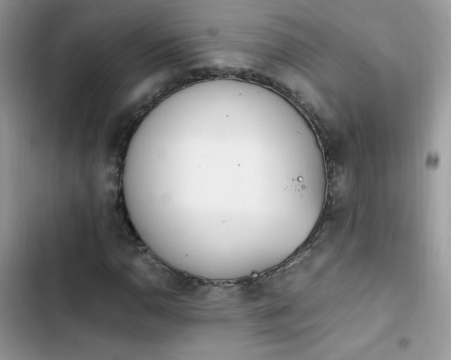 X0000103941110200809191410