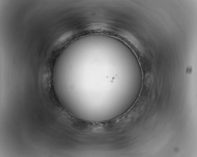 X0000103941111200809191410