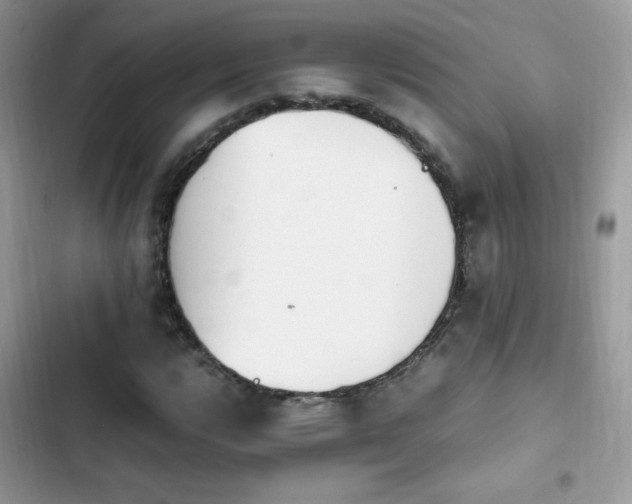 X0000103941112200809191410
