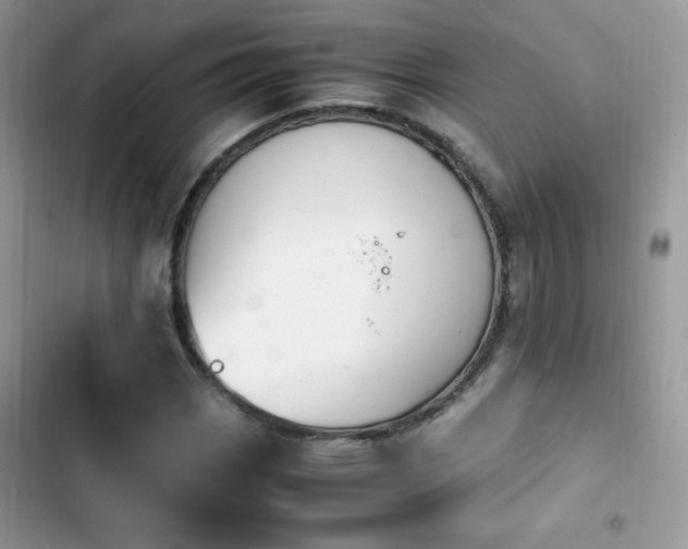 X0000103941113200809191410
