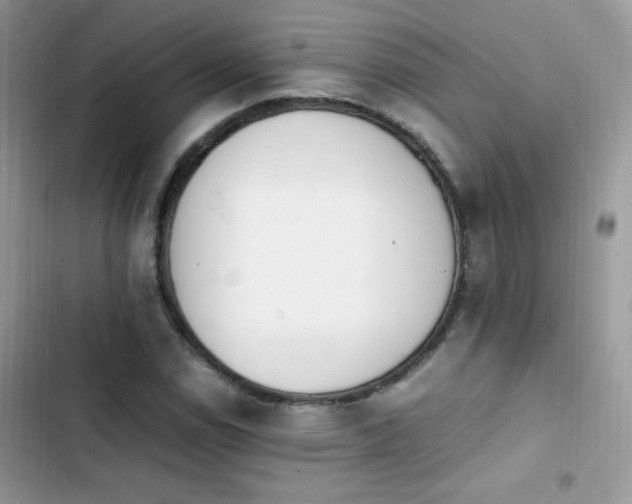 X0000103941114200809191410