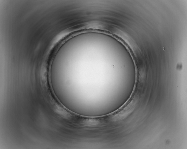 X0000103941115200809191410