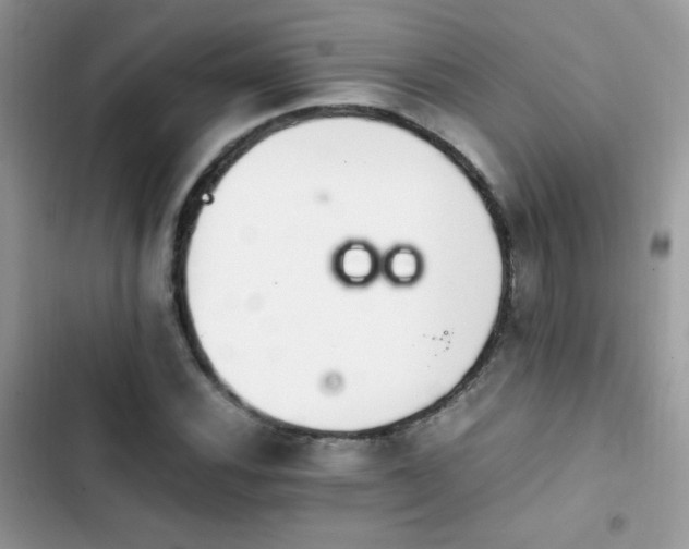 X0000103941116200809191410