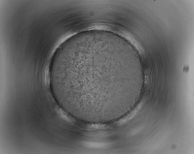 X0000103941117200809191410