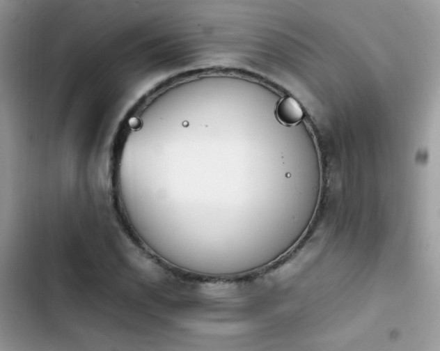 X0000103941118200809191410