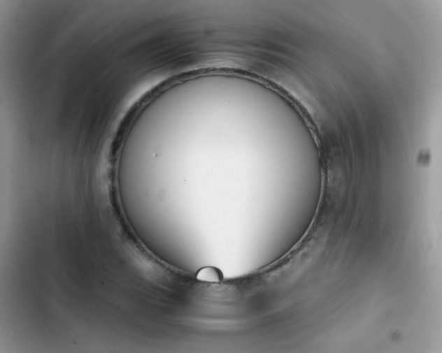 X0000103941119200809191410