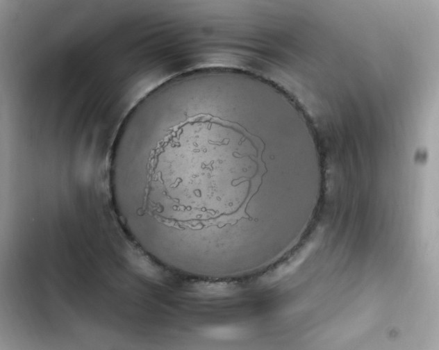 X0000103941121200809191410