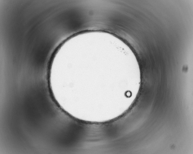 X0000103941122200809191410