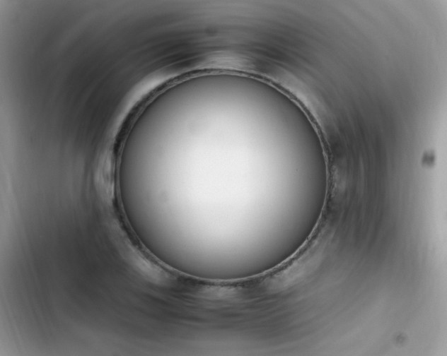 X0000103941123200809191410