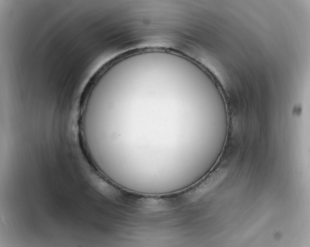 X0000103941124200809191410