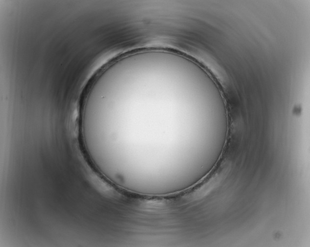 X0000103941126200809191410