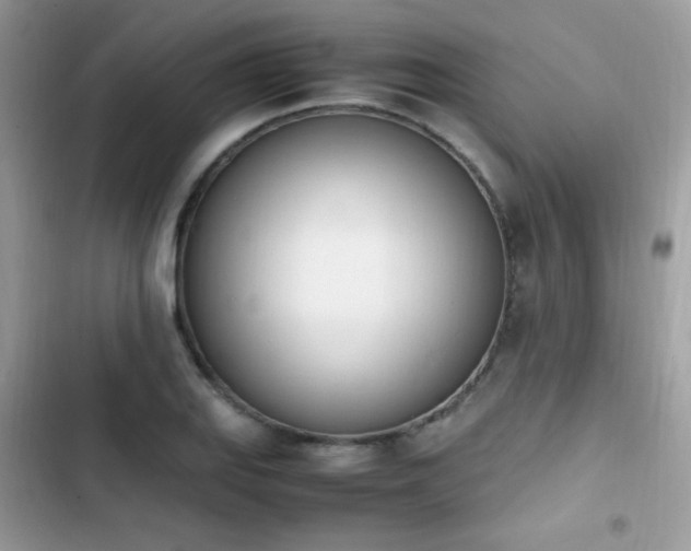 X0000103941127200809191410
