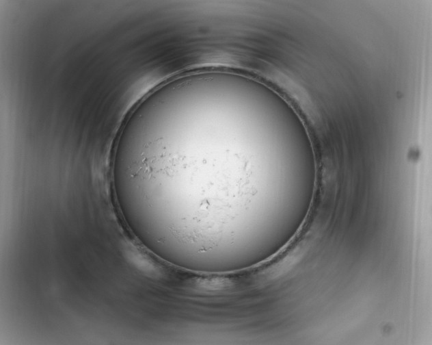 X0000103941129200809191410