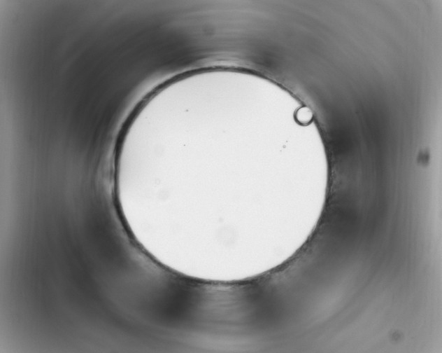 X0000103941132200809191411
