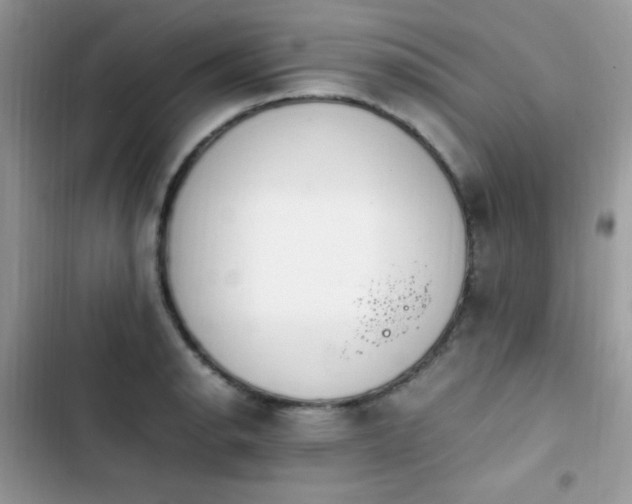 X0000103941134200809191411