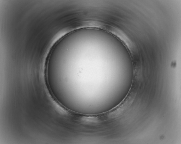 X0000103941135200809191411