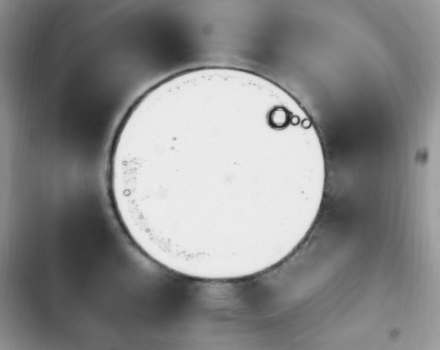 X0000103941136200809191411
