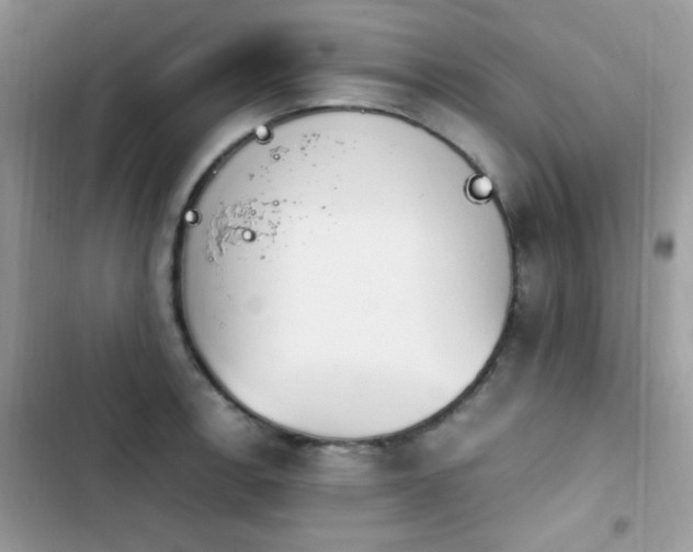 X0000103941138200809191411