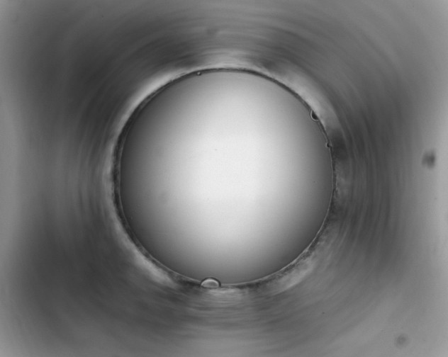 X0000103941142200809191411