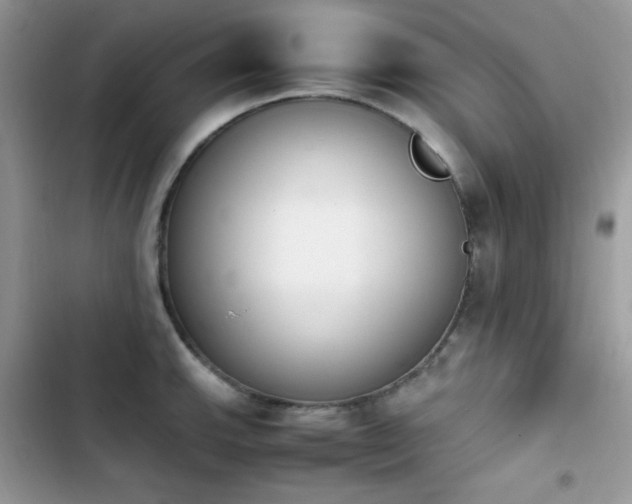 X0000103941143200809191411